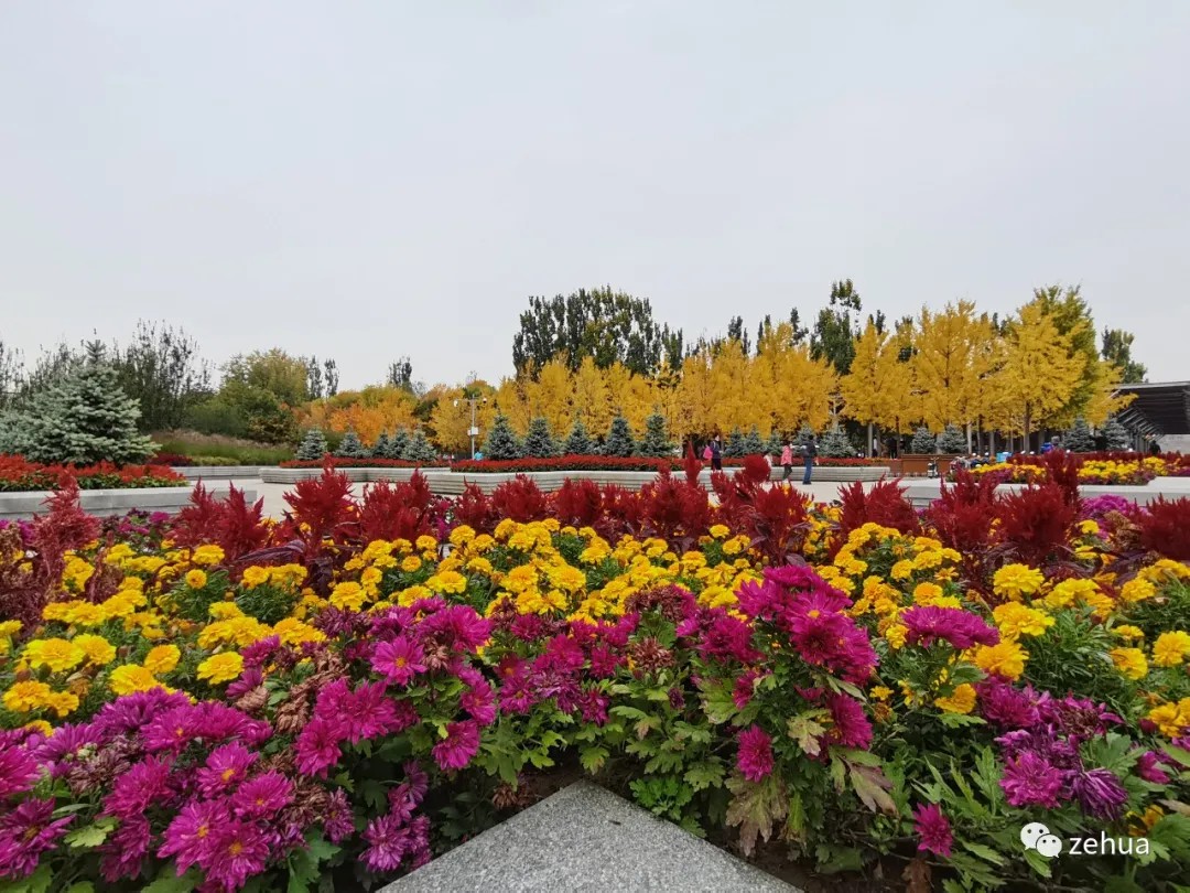 悦满秋日，情谊绵长 | 泽华秋日活动一览