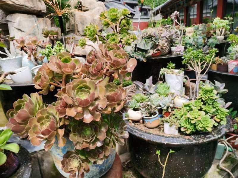 部门游之八月京郊寻清凉